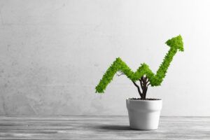 Crecer las pymes
